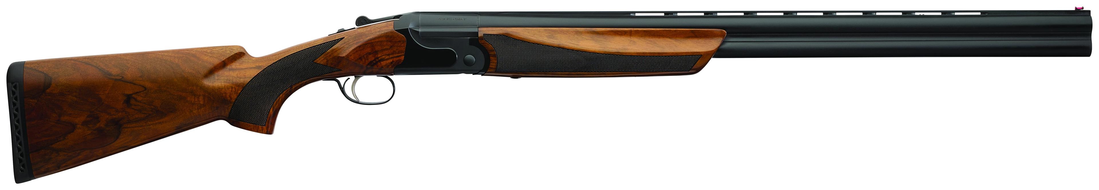 202E