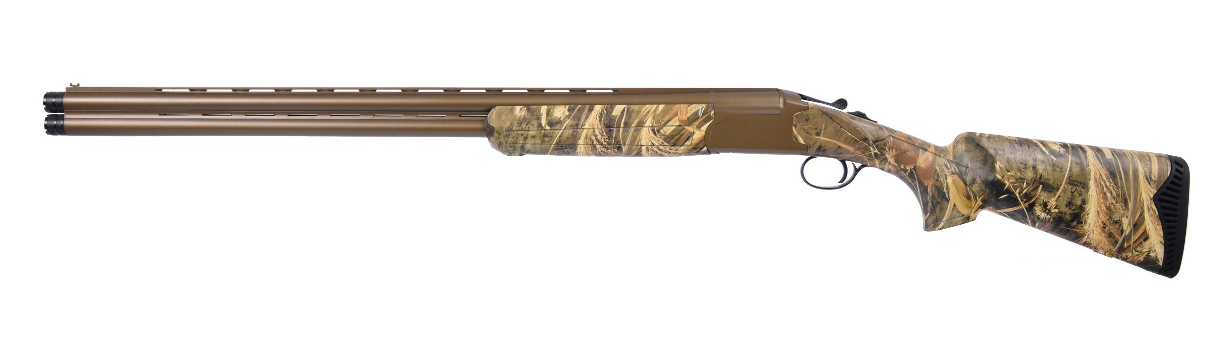 Pointer Acrius