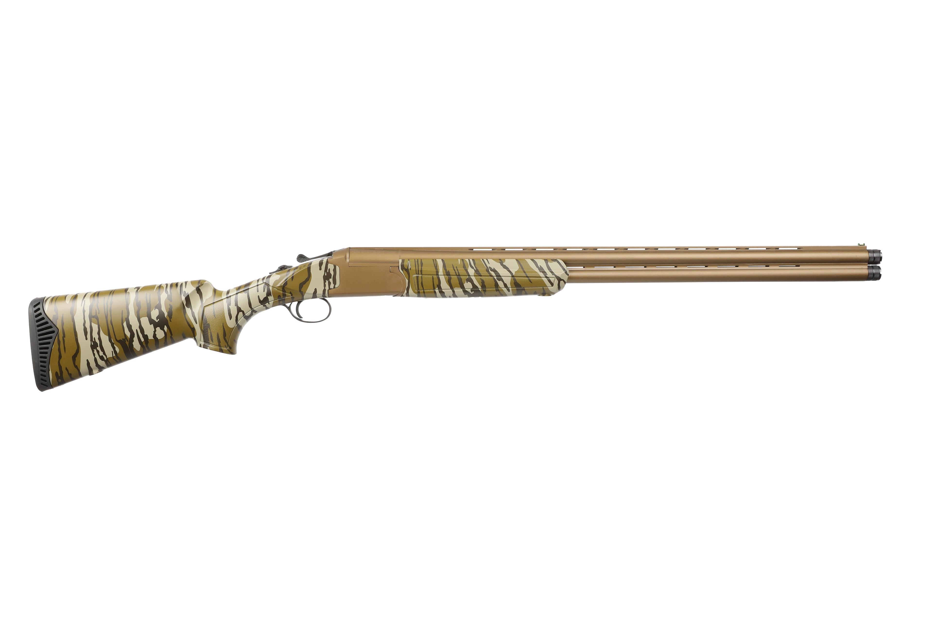Pointer Acrius