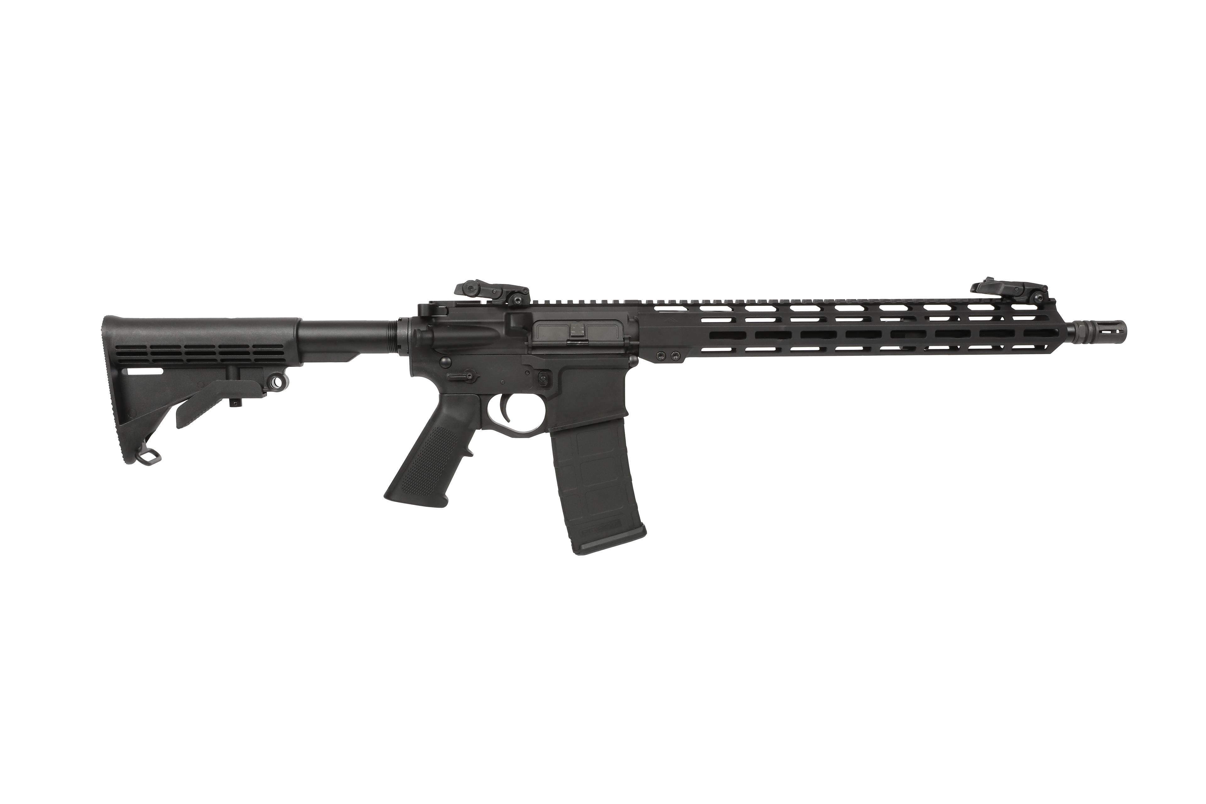 Raptor Defense firearms